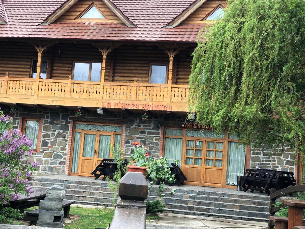 La pintea haiducu Deseşti Exterior foto
