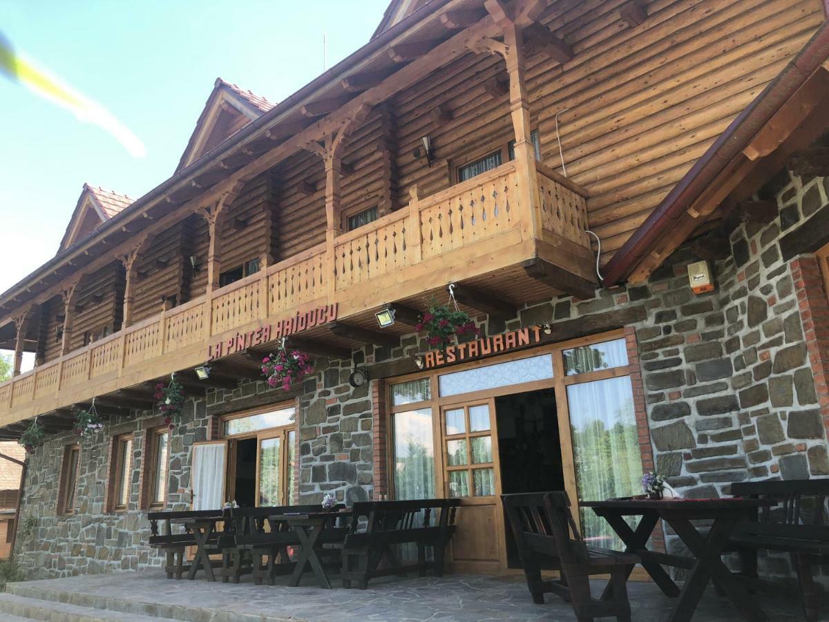 La pintea haiducu Deseşti Exterior foto