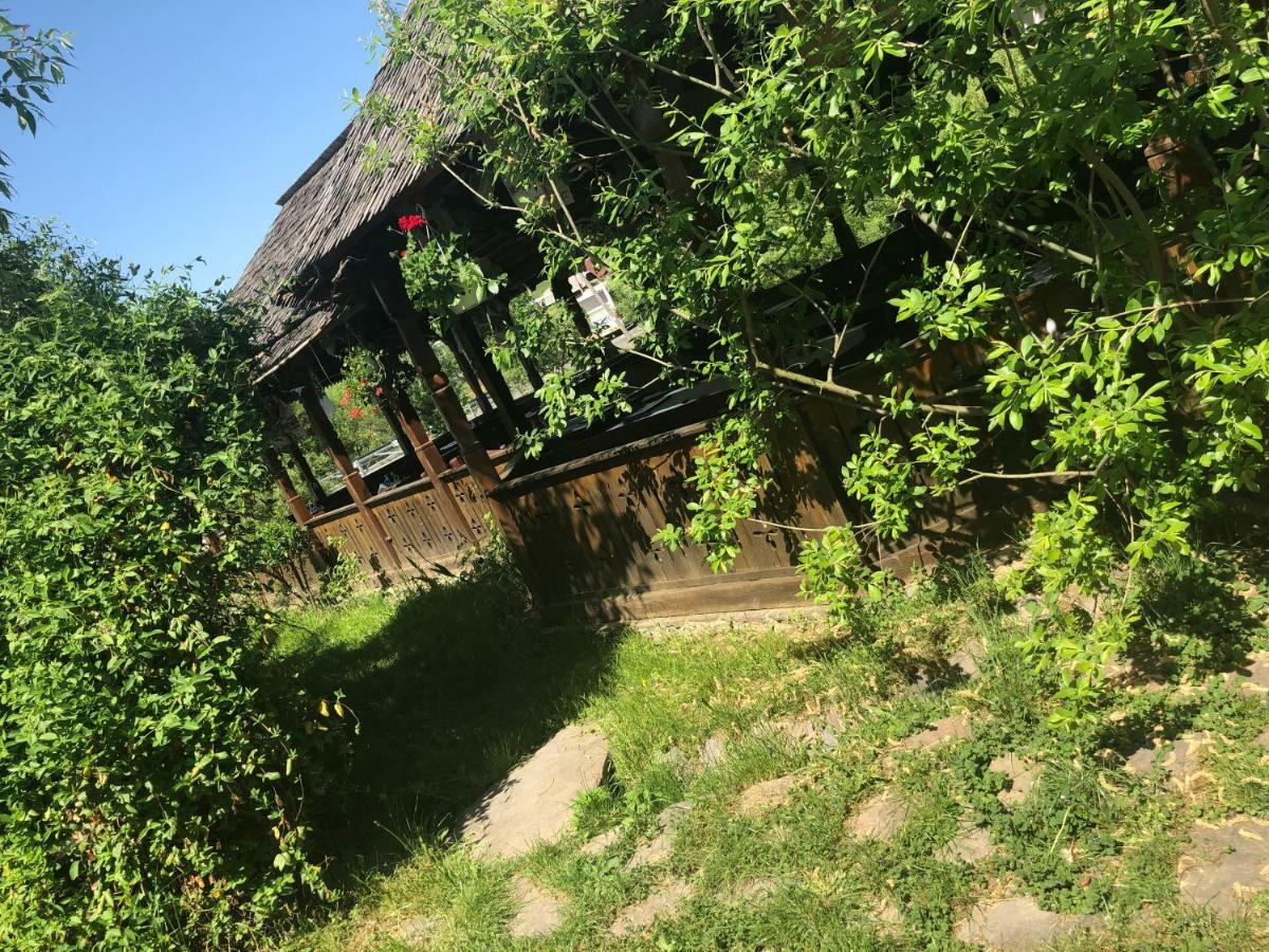 La pintea haiducu Deseşti Exterior foto